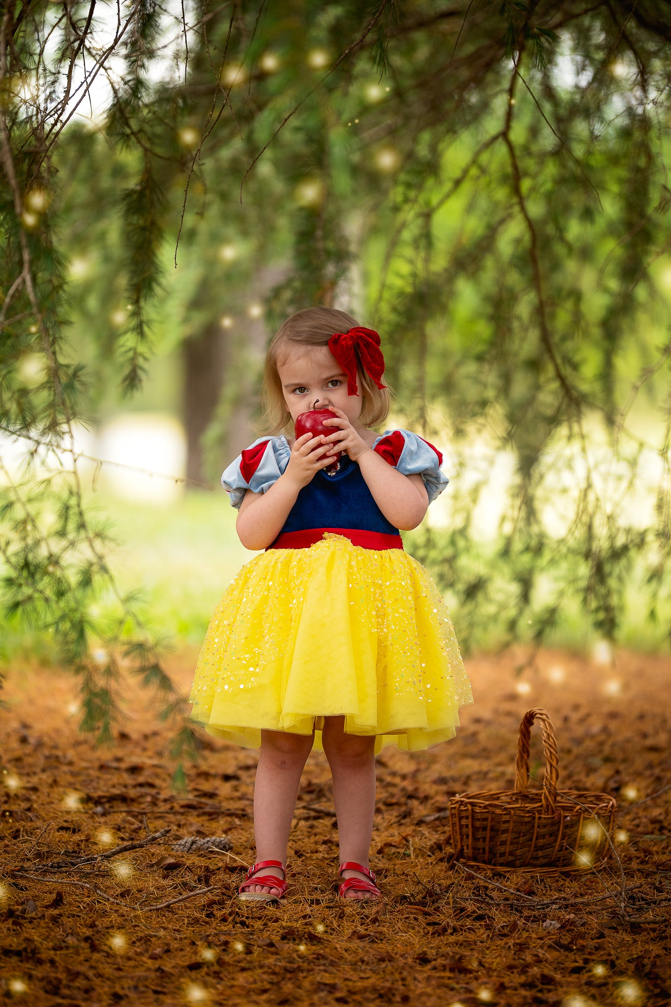 {{ Fairest of All - Elliette }} Dress 1pc - Preorder