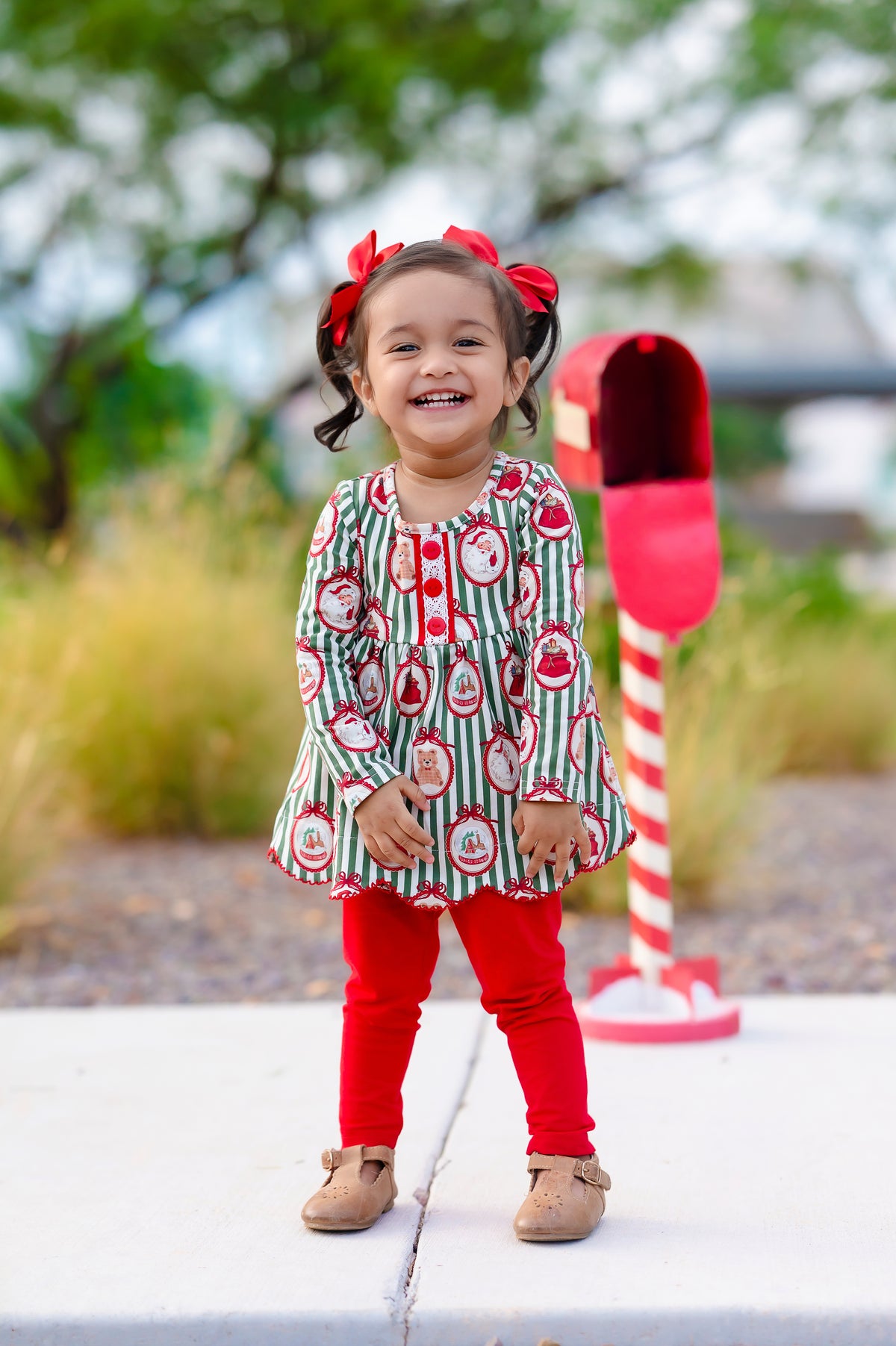 Christmas in a Frame - Preorder