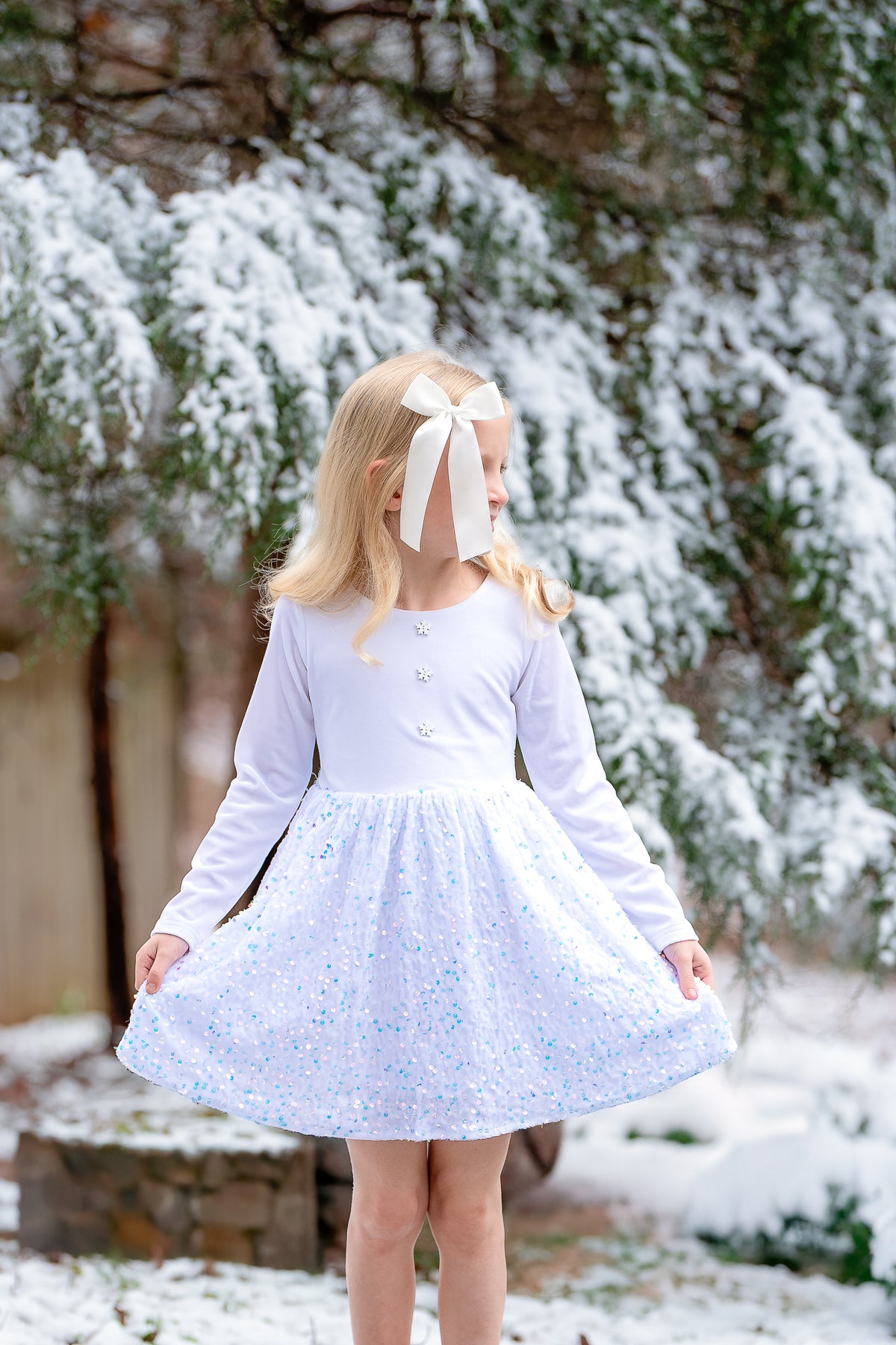 Snow & Sequins Dress - Preorder