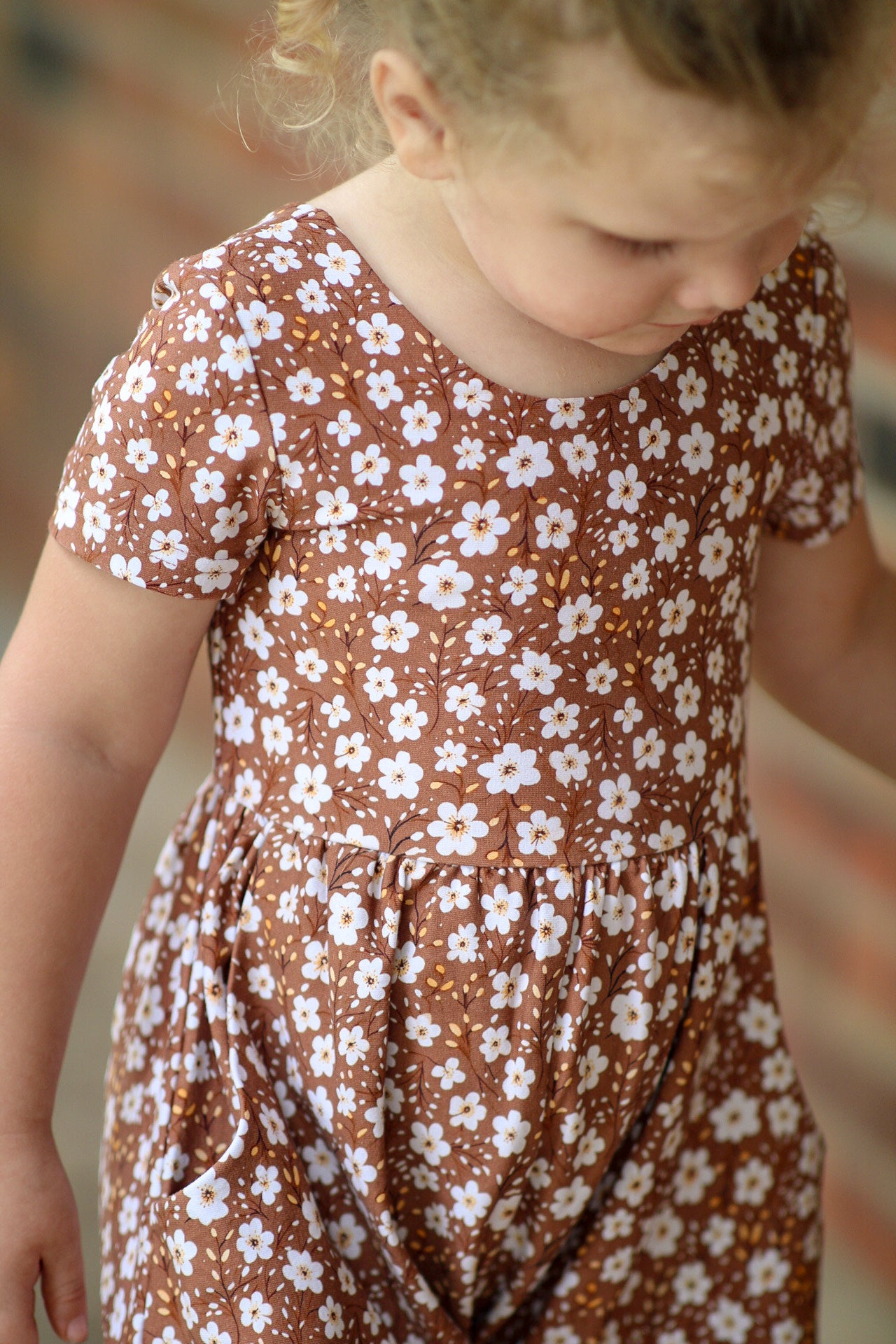 Brown Sugar Blossom Leggy - RTS